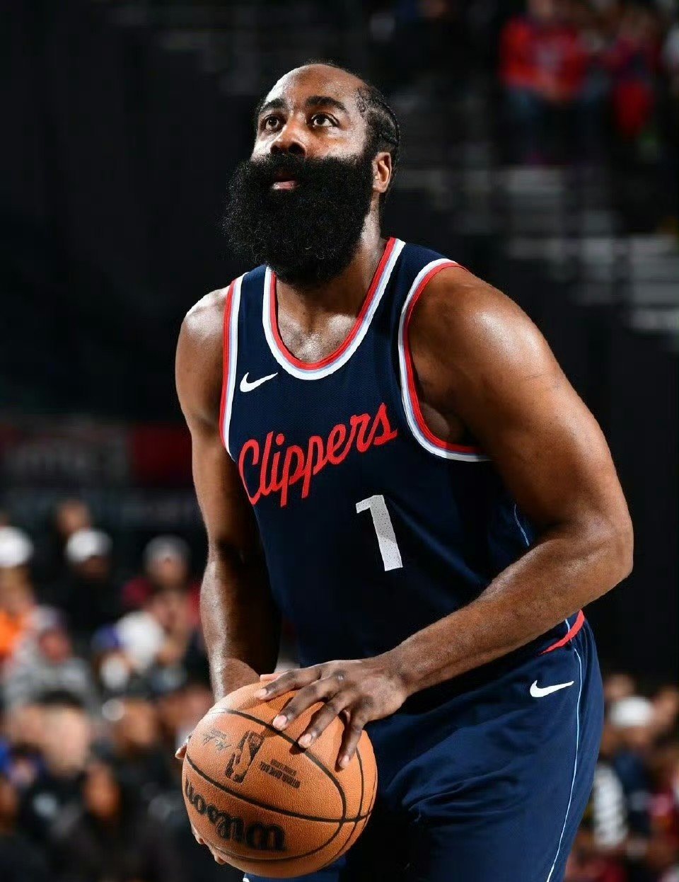 开云入口-蒂姆重返赛场，爆冷首场状态出色，快船观众沸腾！全场沸腾不已的简单介绍